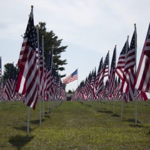 636090375204208266-HES-DJ-090916-Hanover-Healing-Field-14 - Copy