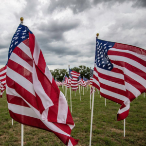 two flags flying