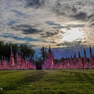 FIELD OF FLAGS