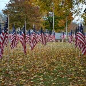 FIELD OF FLAGS