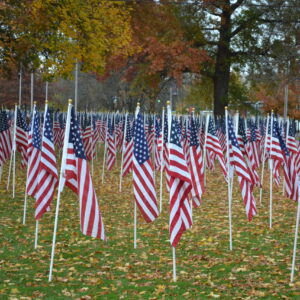 SUNNY FLAGS